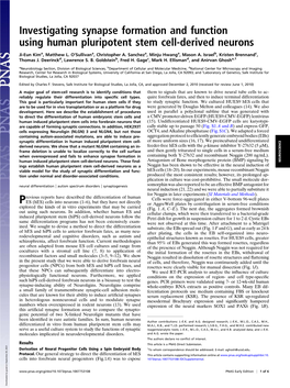 Investigating Synapse Formation and Function Using Human Pluripotent Stem Cell-Derived Neurons