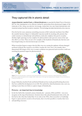 They Captured Life in Atomic Detail