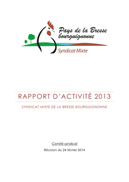 Rapport D'activité 2013