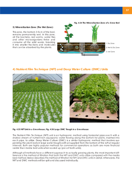 (NFT) and Deep Water Culture (DWC) Units