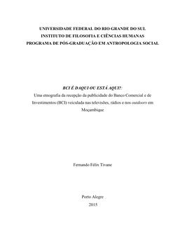 Universidade Federal Do Rio Grande Do Sul Instituto De Filosofia E Ciências Humanas Programa De Pós-Graduação Em Antropologia Social