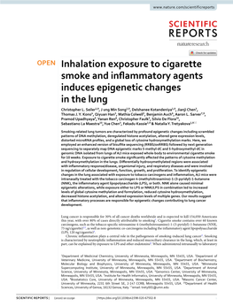 Inhalation Exposure to Cigarette Smoke and Inflammatory Agents