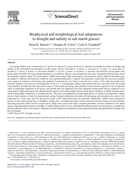 Biophysical and Morphological Leaf Adaptations to Drought and Salinity in Salt Marsh Grasses Brian R