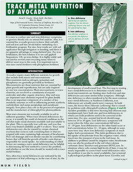 Trace Metal Nutrition of Avocado