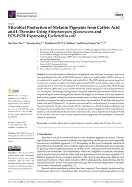 Microbial Production of Melanin Pigments from Caffeic Acid and L-Tyrosine Using Streptomyces Glaucescens and FCS-ECH-Expressing Escherichia Coli