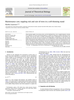 Maintenance Cost, Toppling Risk and Size of Trees in a Self-Thinning Stand