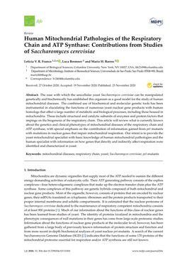 Human Mitochondrial Pathologies of the Respiratory Chain and ATP Synthase: Contributions from Studies of Saccharomyces Cerevisiae