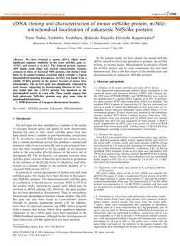 Cdna Cloning and Characterization of Mouse Nifs-Like Protein, M-Nfs1: Mitochondrial Localization of Eukaryotic Nifs-Like Proteins