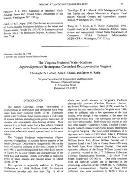 The Virginia Piedmont Water-Boatman Sigara Depressa (Heteroptera: Corixidae) Rediscovered in Virginia