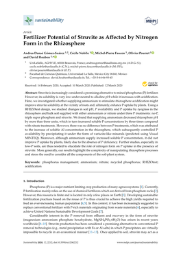 Fertilizer Potential of Struvite As Affected by Nitrogen Form In