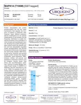 MAPK14 (T106M) [GST-Tagged] Kinase