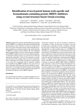 (BRDT) Inhibitors Using Crystal Structure-Based Virtual Screening