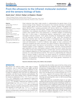 Molecular Evolution and the Sensory Biology of Bats