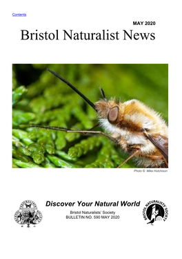 Bristol Naturalist News