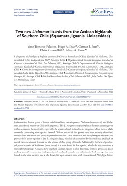 Two New Liolaemus Lizards from the Andean Highlands of Southern Chile (Squamata, Iguania, Liolaemidae)