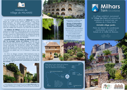 Carte Milhars 11