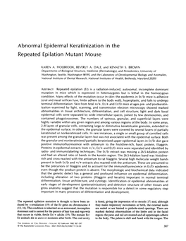 Abnormal Epidermal Keratinization in the Repeated Epilation Mutant Mouse