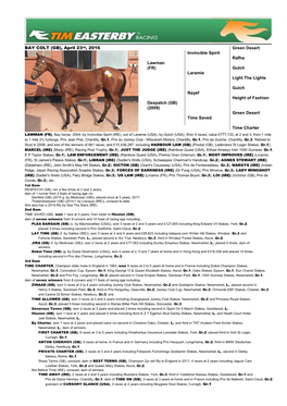 Bay Filly (IRE) – February 4Th, 2008