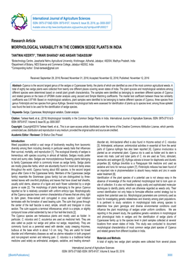 Research Article MORPHOLOGICAL VARIABILITY in the COMMON SEDGE PLANTS in INDIA