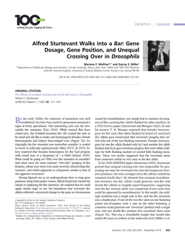 Alfred Sturtevant Walks Into a Bar: Gene Dosage, Gene Position, and Unequal Crossing Over in Drosophila