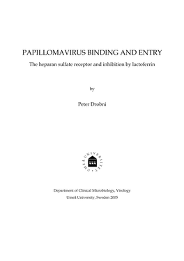 Papillomavirus Binding and Entry