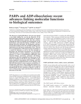 Parps and ADP-Ribosylation: Recent Advances Linking Molecular Functions to Biological Outcomes