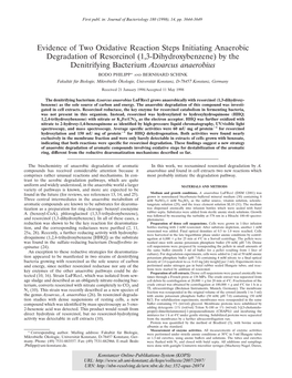 Evidence of Two Oxidative Reaction Steps Initiating Anaerobic Degradation of Resorcinol (1,3-Dihydroxybenzene) by the Denitrifying Bacterium Azoarcus Anaerobius