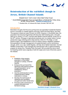 Reintroduction of the Red-Billed Chough in Jersey, British Channel Islands