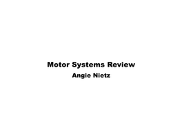 Motor Systems Review Angie Nietz