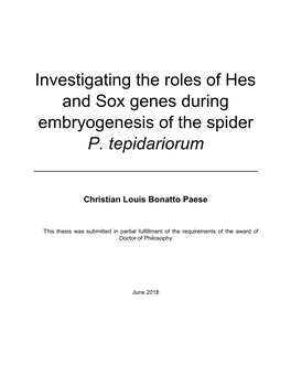 Investigating the Roles of Hes and Sox Genes During Embryogenesis