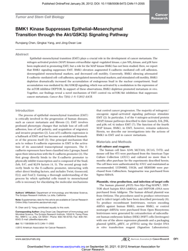 BMK1 Kinase Suppresses Epithelial–Mesenchymal Transition Through the Akt/Gsk3b Signaling Pathway