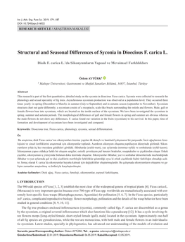 Structural and Seasonal Differences of Syconia in Dioecious F. Carica L