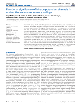 Functional Significance of M-Type Potassium Channels in Nociceptive