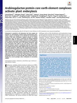 Arabinogalactan Protein–Rare Earth Element Complexes Activate Plant Endocytosis