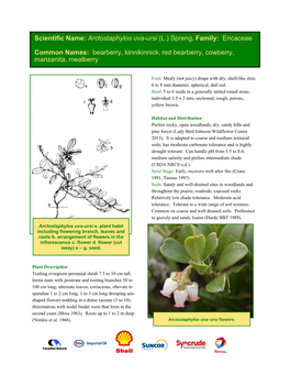 Arctostaphylos Uva-Ursi (L.) Spreng