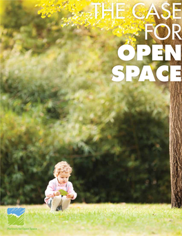 To Download the Case for Open Space