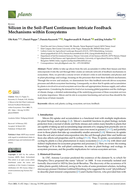 Silicon in the Soil–Plant Continuum: Intricate Feedback Mechanisms Within Ecosystems