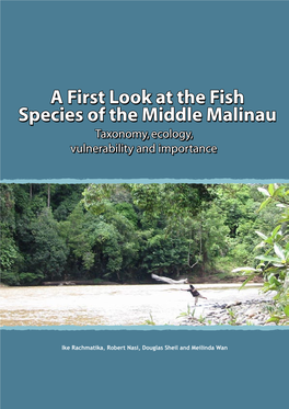 A First Look at the Fish Species of the Middle Malinau: Taxonomy, Ecology