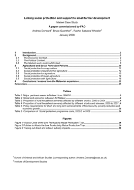 Malawi Case Study a Paper Commissioned by FAO Andrew Dorward1, Bruce Guenther2 , Rachel Sabates Wheeler2 January 2008