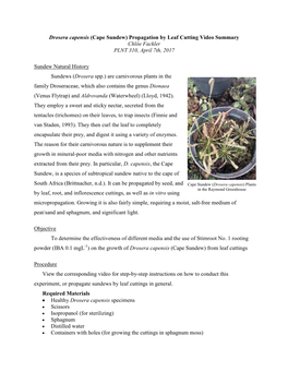 Drosera Capensis (Cape Sundew) Propagation by Leaf Cutting Video Summary Chlöe Fackler PLNT 310, April 7Th, 2017