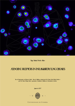 Adenosine Receptors in Inflammatory Lung Diseases