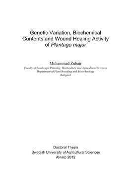 Genetic Variation, Biochemical Contents and Wound Healing Activity of Plantago Major