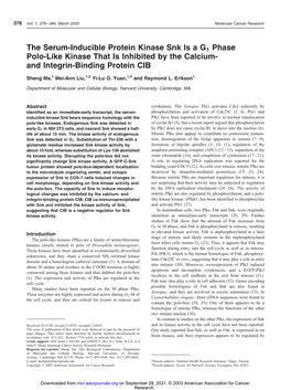 And Integrin-Binding Protein CIB