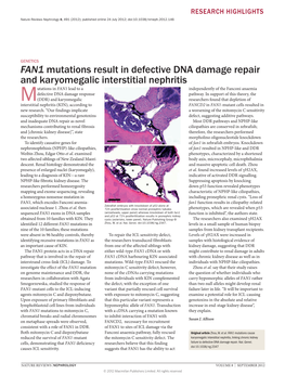 Genetics: FAN1 Mutations Result in Defective DNA Damage Repair and Karyomegalic Interstitial Nephritis