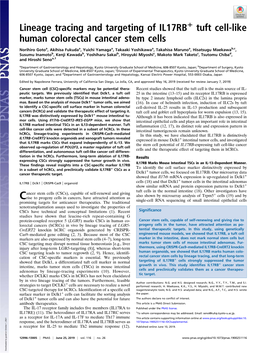 Lineage Tracing and Targeting of IL17RB+ Tuft Cell-Like Human