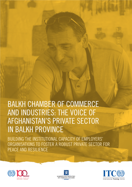 The Voice of Afghanistan's Private Sector in Balkh