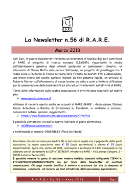 La Newsletter N.56 Di R.A.R.E