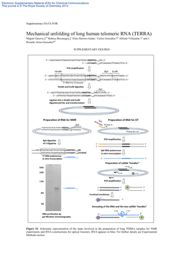 Mechanical Unfolding of Long Human Telomeric RNA (TERRA) Miguel Garavís,‡Ab Rebeca Bocanegra,‡C Elías Herrero-Galán,C Carlos González,*B Alfredo Villasante,*A and J