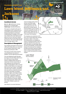 Lawnwood, Bottleneck and Jackson's