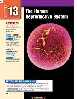 The Human Reproductive System